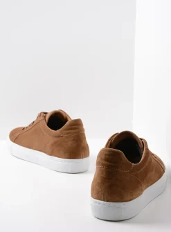 Veterschoenen Heren|Sneakers Heren<Wolky Forecheck - cognac suede cognacsuede